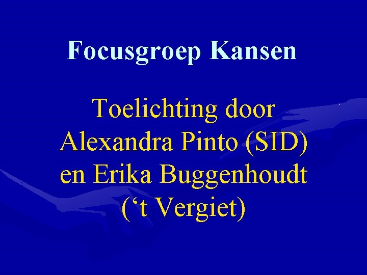 Focusgroep Kansen Toelichting door Alexandra Pinto (SID) en Erika Buggenhoudt (‘t Vergiet) 