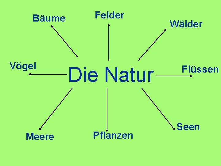 Bäume Vögel Meere Felder Die Natur Pflanzen Wälder Flüssen Seen 