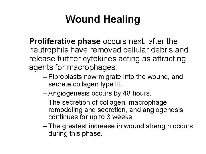 Wound Healing – Proliferative phase occurs next, after the neutrophils have removed cellular debris