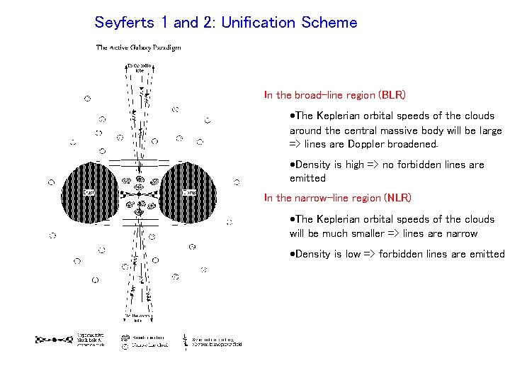 Seyferts 1 and 2: Unification Scheme In the broad-line region (BLR) ·The Keplerian orbital