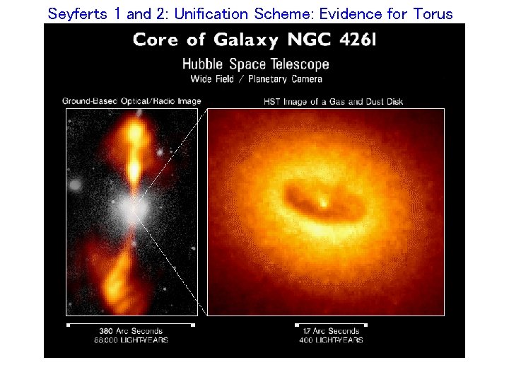 Seyferts 1 and 2: Unification Scheme: Evidence for Torus 