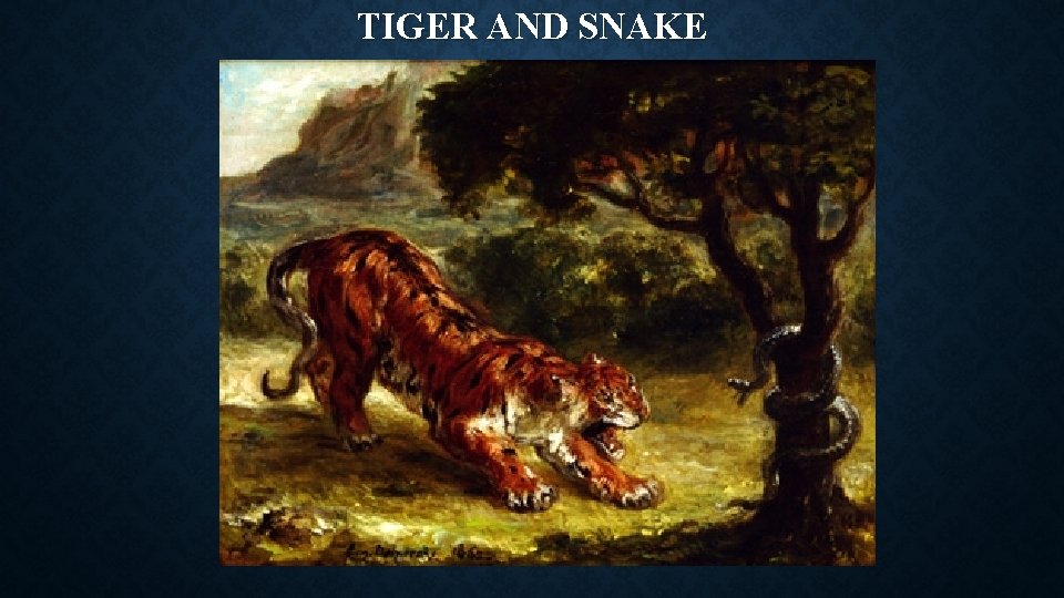 TIGER AND SNAKE 