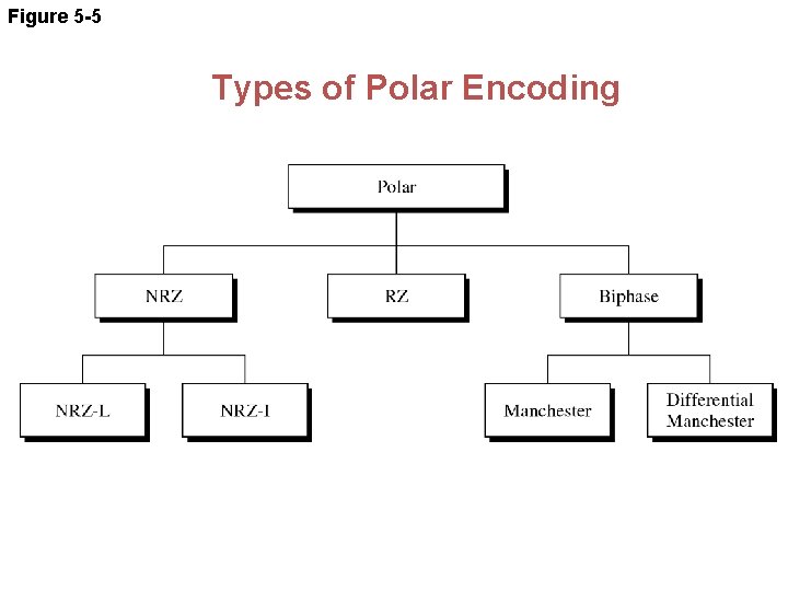 Figure 5 -5 Types of Polar Encoding 