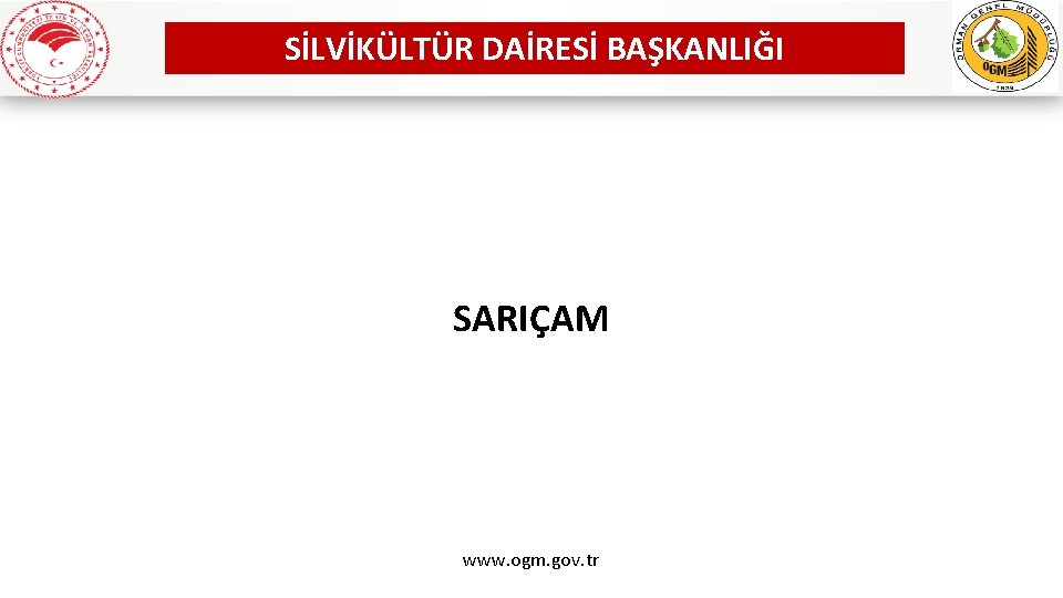 SİLVİKÜLTÜR DAİRESİ BAŞKANLIĞI SARIÇAM www. ogm. gov. tr 