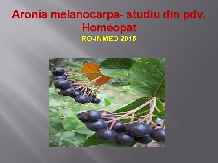 Aronia melanocarpa- studiu din pdv. Homeopat RO-INMED 2015 