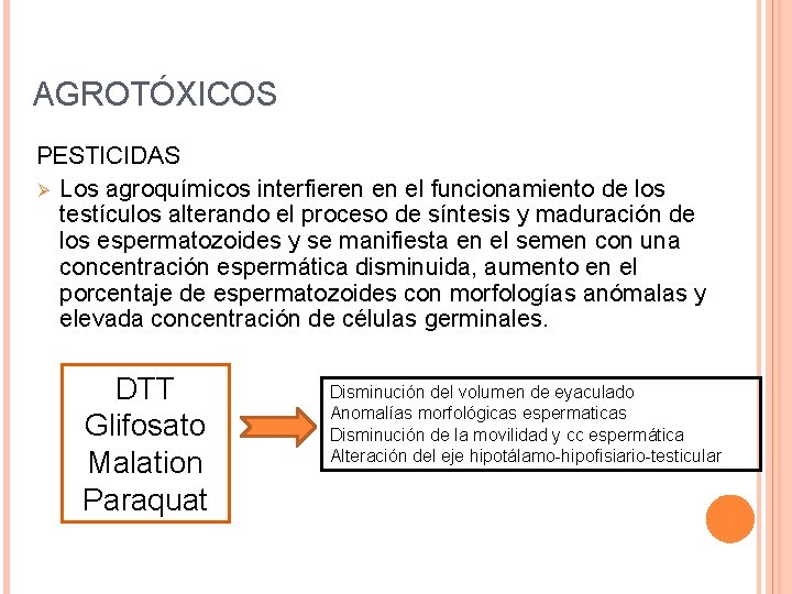 AGROTÓXICOS PESTICIDAS Ø Los agroquímicos interfieren en el funcionamiento de los testículos alterando el