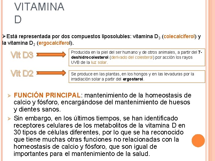 VITAMINA D ØEstá representada por dos compuestos liposolubles: vitamina D 3 (colecalciferol) y la