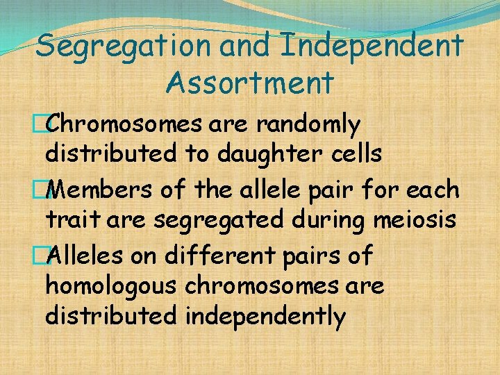 Segregation and Independent Assortment �Chromosomes are randomly distributed to daughter cells �Members of the