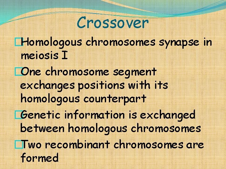 Crossover �Homologous chromosomes synapse in meiosis I �One chromosome segment exchanges positions with its