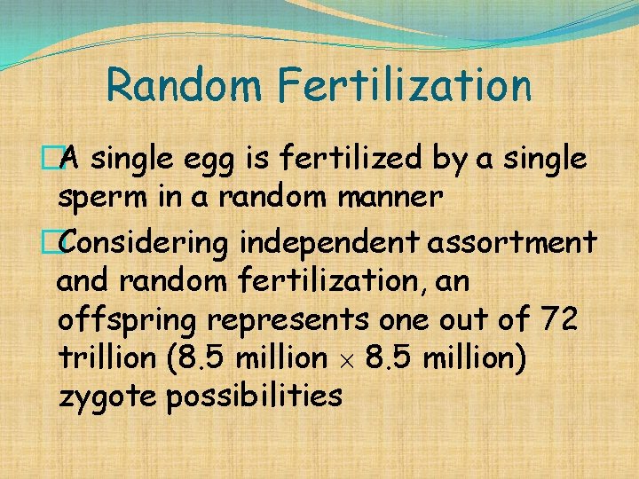 Random Fertilization �A single egg is fertilized by a single sperm in a random