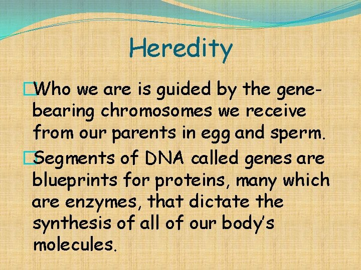 Heredity �Who we are is guided by the genebearing chromosomes we receive from our