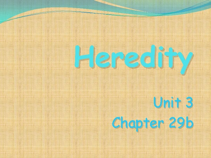 Heredity Unit 3 Chapter 29 b 