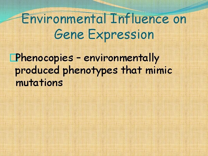 Environmental Influence on Gene Expression �Phenocopies – environmentally produced phenotypes that mimic mutations 