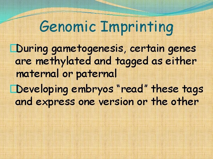 Genomic Imprinting �During gametogenesis, certain genes are methylated and tagged as either maternal or