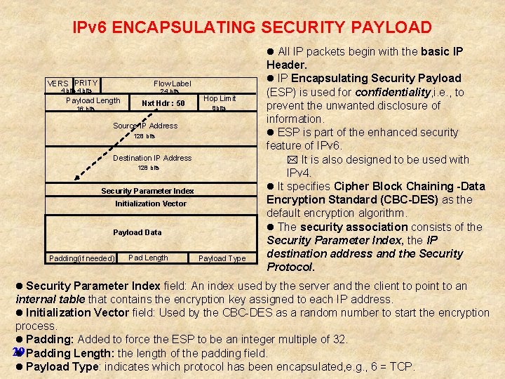IPv 6 ENCAPSULATING SECURITY PAYLOAD l All IP packets begin with the basic IP