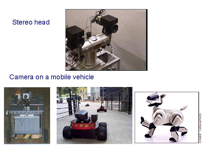 Stereo head Camera on a mobile vehicle 