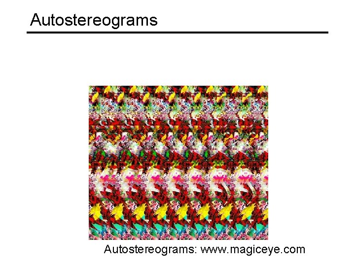 Autostereograms: www. magiceye. com 