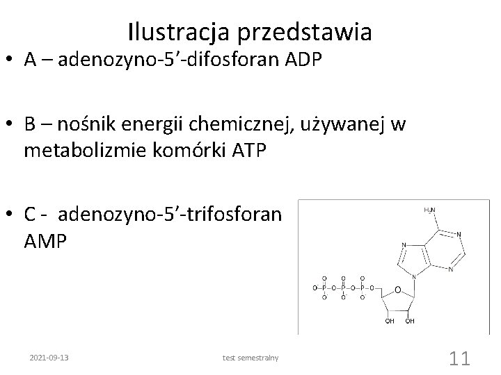 Ilustracja przedstawia • A – adenozyno-5′-difosforan ADP • B – nośnik energii chemicznej, używanej