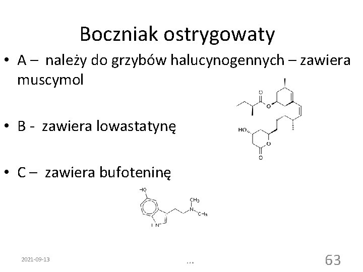 Boczniak ostrygowaty • A – należy do grzybów halucynogennych – zawiera muscymol • B