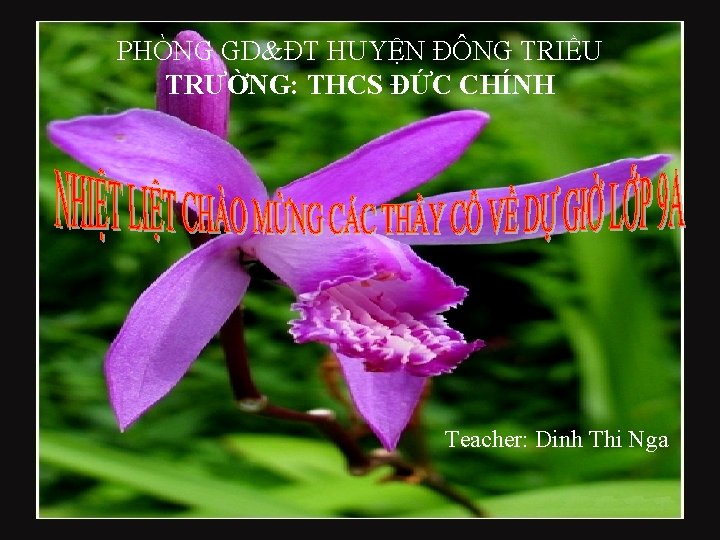 PHÒNG GD&ĐT HUYỆN ĐÔNG TRIỀU TRƯỜNG: THCS ĐỨC CHÍNH Teacher: Dinh Thi Nga 