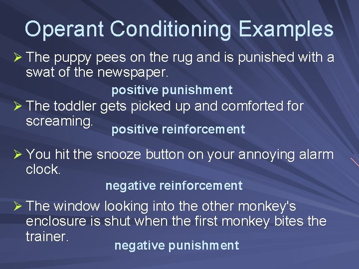 Operant Conditioning Examples Ø The puppy pees on the rug and is punished with