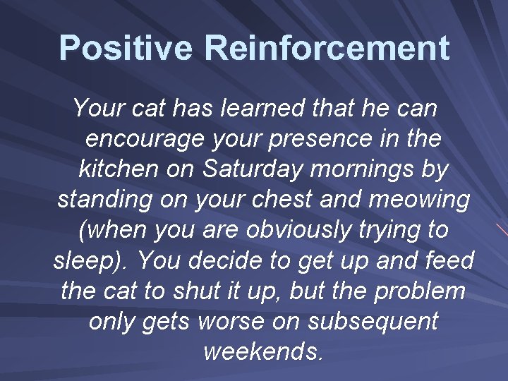 Positive Reinforcement Your cat has learned that he can encourage your presence in the