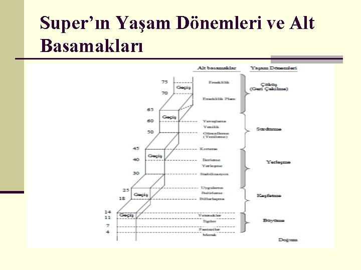 Super’ın Yaşam Dönemleri ve Alt Basamakları 