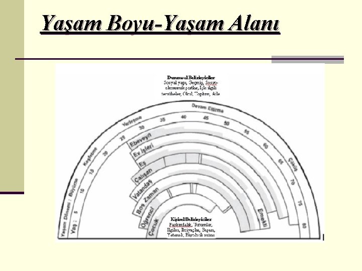 Yaşam Boyu-Yaşam Alanı 