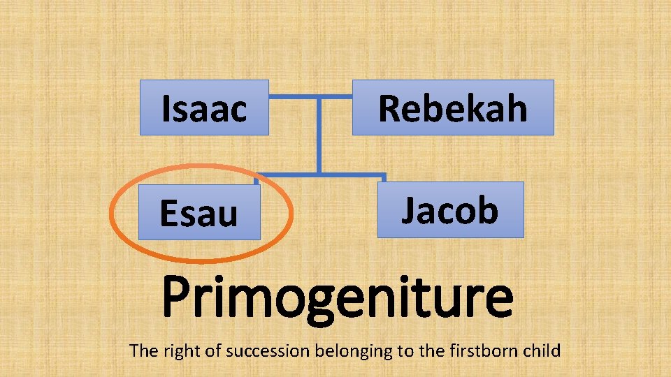 Isaac Rebekah Esau Jacob Primogeniture The right of succession belonging to the firstborn child