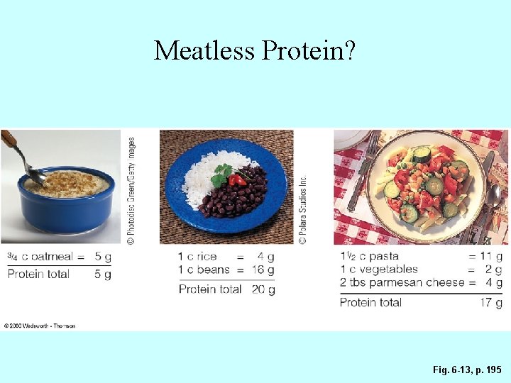 Meatless Protein? Fig. 6 -13, p. 195 