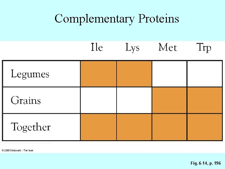 Complementary Proteins Fig. 6 -14, p. 196 