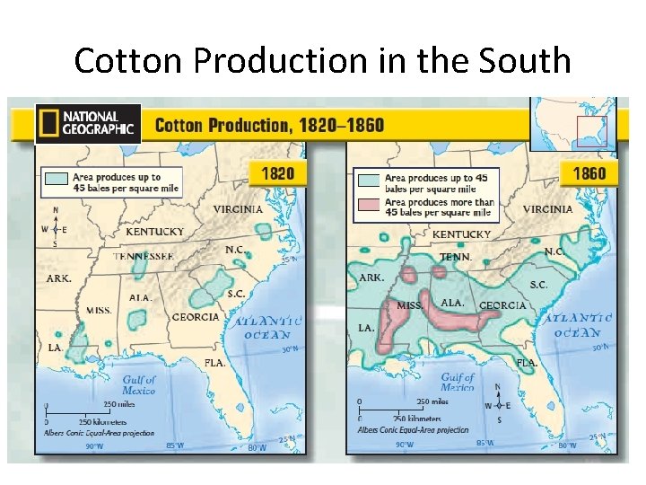 Cotton Production in the South 