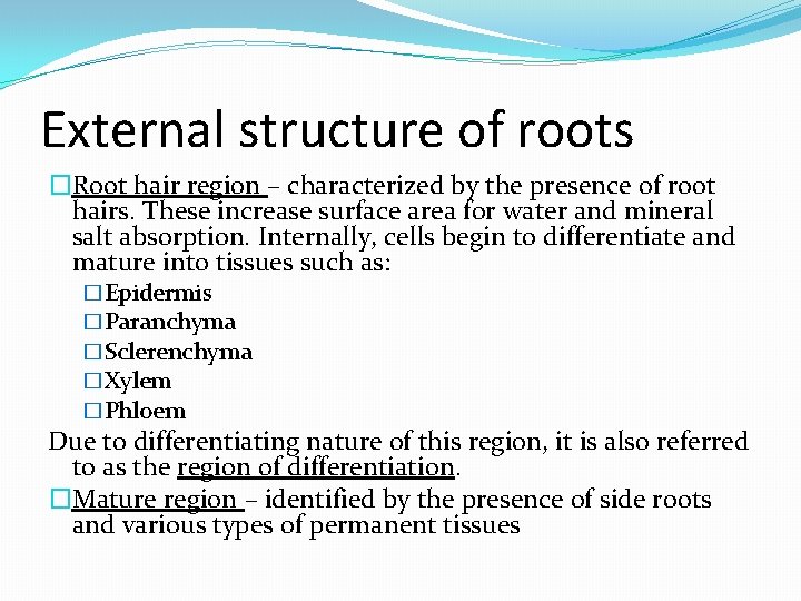 External structure of roots �Root hair region – characterized by the presence of root