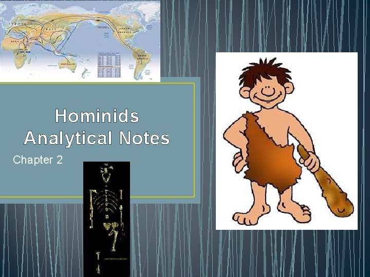 Hominids Analytical Notes Chapter 2 