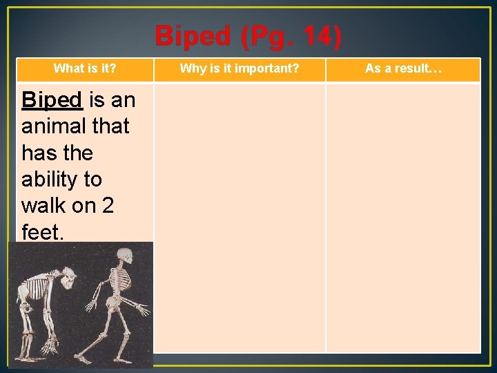 Biped (Pg. 14) What is it? Biped is an animal that has the ability