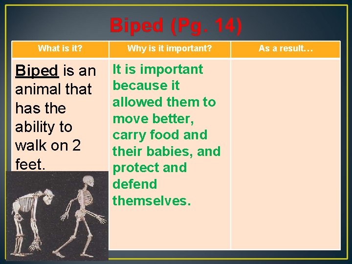 Biped (Pg. 14) What is it? Biped is an animal that has the ability