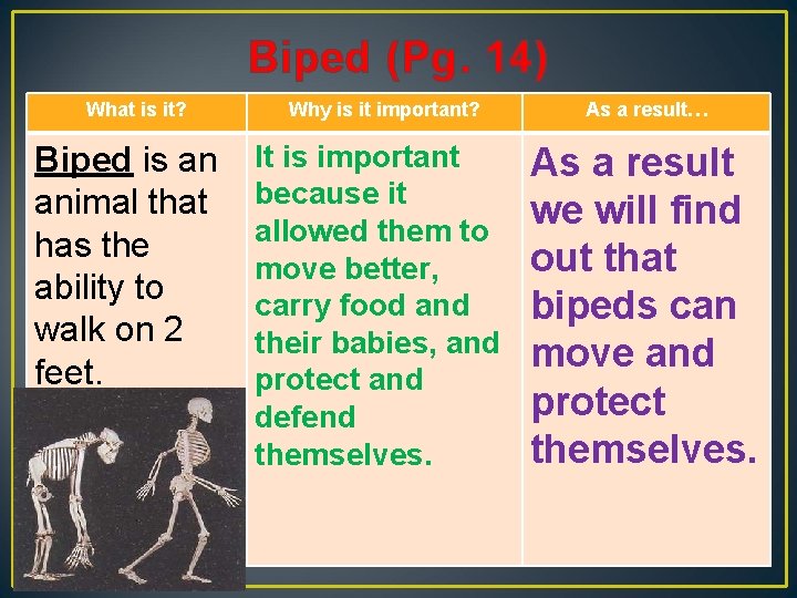 Biped (Pg. 14) What is it? Biped is an animal that has the ability