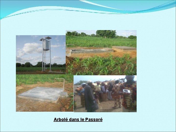Arbolé dans le Passoré 