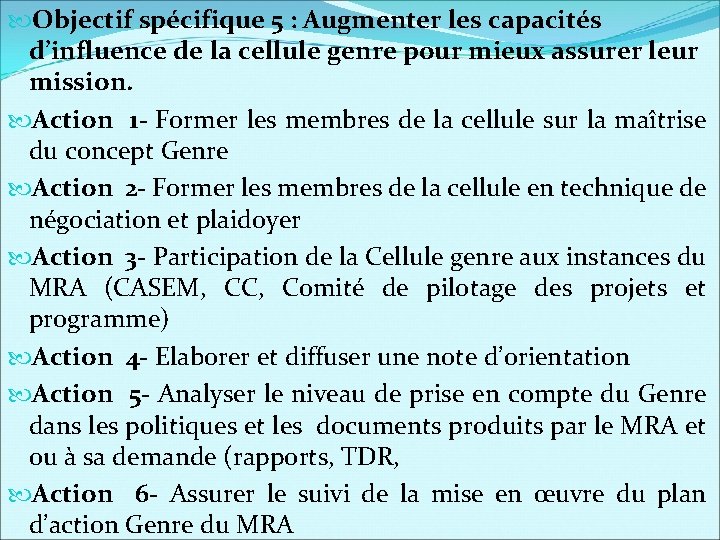  Objectif spécifique 5 : Augmenter les capacités d’influence de la cellule genre pour