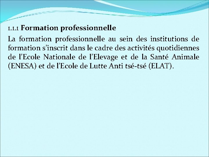 1. 1. 1 Formation professionnelle La formation professionnelle au sein des institutions de formation