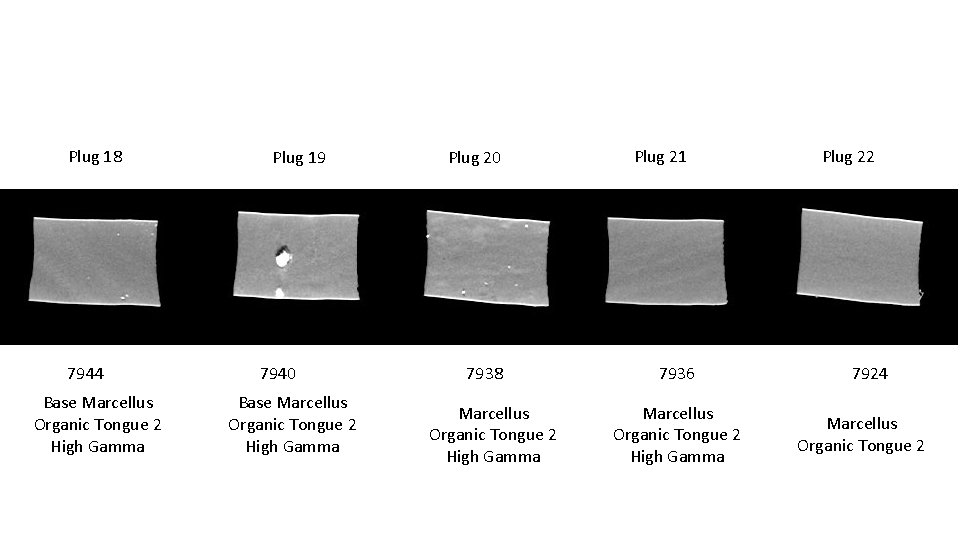 Plug 18 7944 Base Marcellus Organic Tongue 2 High Gamma Plug 19 7940 Base