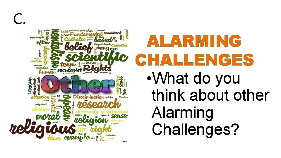 C. ALARMING CHALLENGES • What do you think about other Alarming Challenges? 