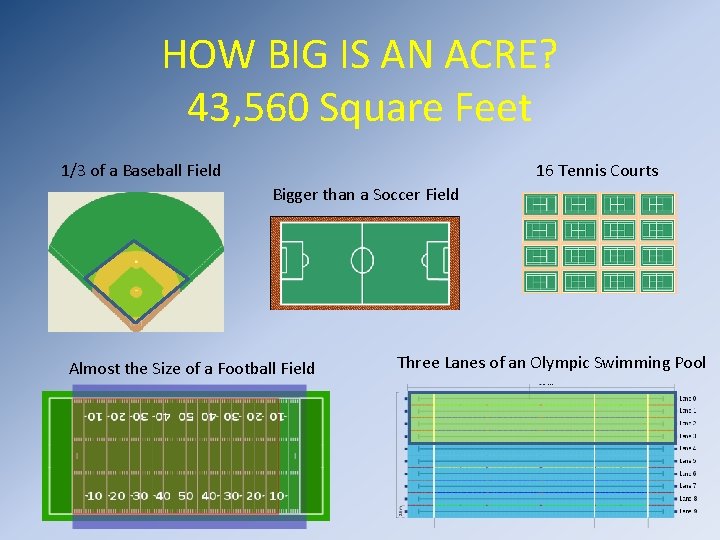 HOW BIG IS AN ACRE? 43, 560 Square Feet 1/3 of a Baseball Field