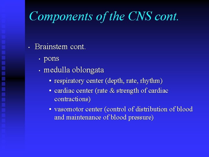 Components of the CNS cont. • Brainstem cont. • pons • medulla oblongata • Components of the CNS cont. • Brainstem cont. • pons • medulla oblongata •