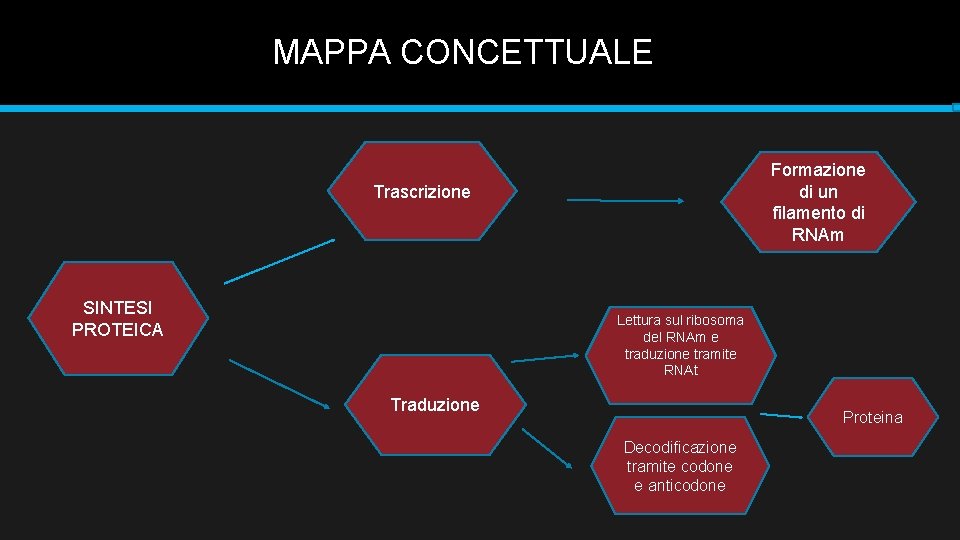 MAPPA CONCETTUALE Formazione di un filamento di RNAm Trascrizione SINTESI PROTEICA Lettura sul ribosoma