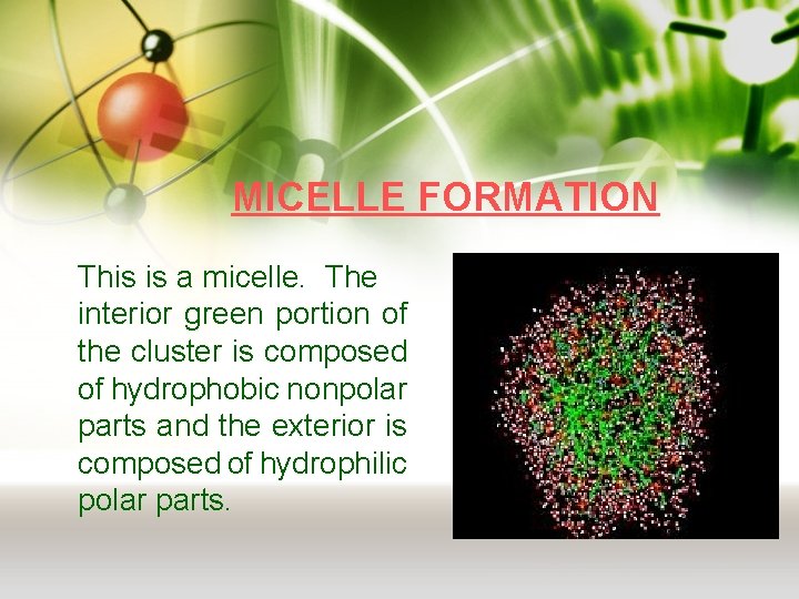 MICELLE FORMATION This is a micelle. The interior green portion of the cluster is
