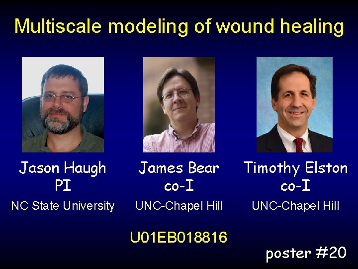 Multiscale modeling of wound healing Jason Haugh PI James Bear co-I Timothy Elston co-I