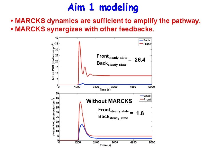 Aim 1 modeling • MARCKS dynamics are sufficient to amplify the pathway. • MARCKS