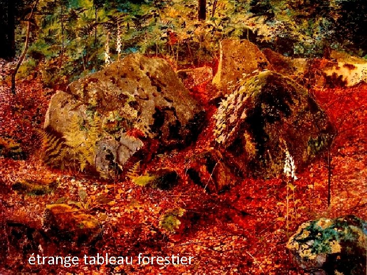 étrange tableau forestier 