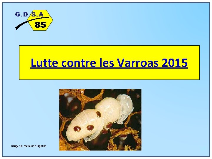 Lutte contre les Varroas 2015 Image: la miellerie d’Agathe 